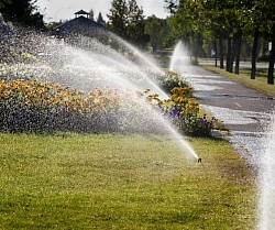 Sprinkler System Inspections